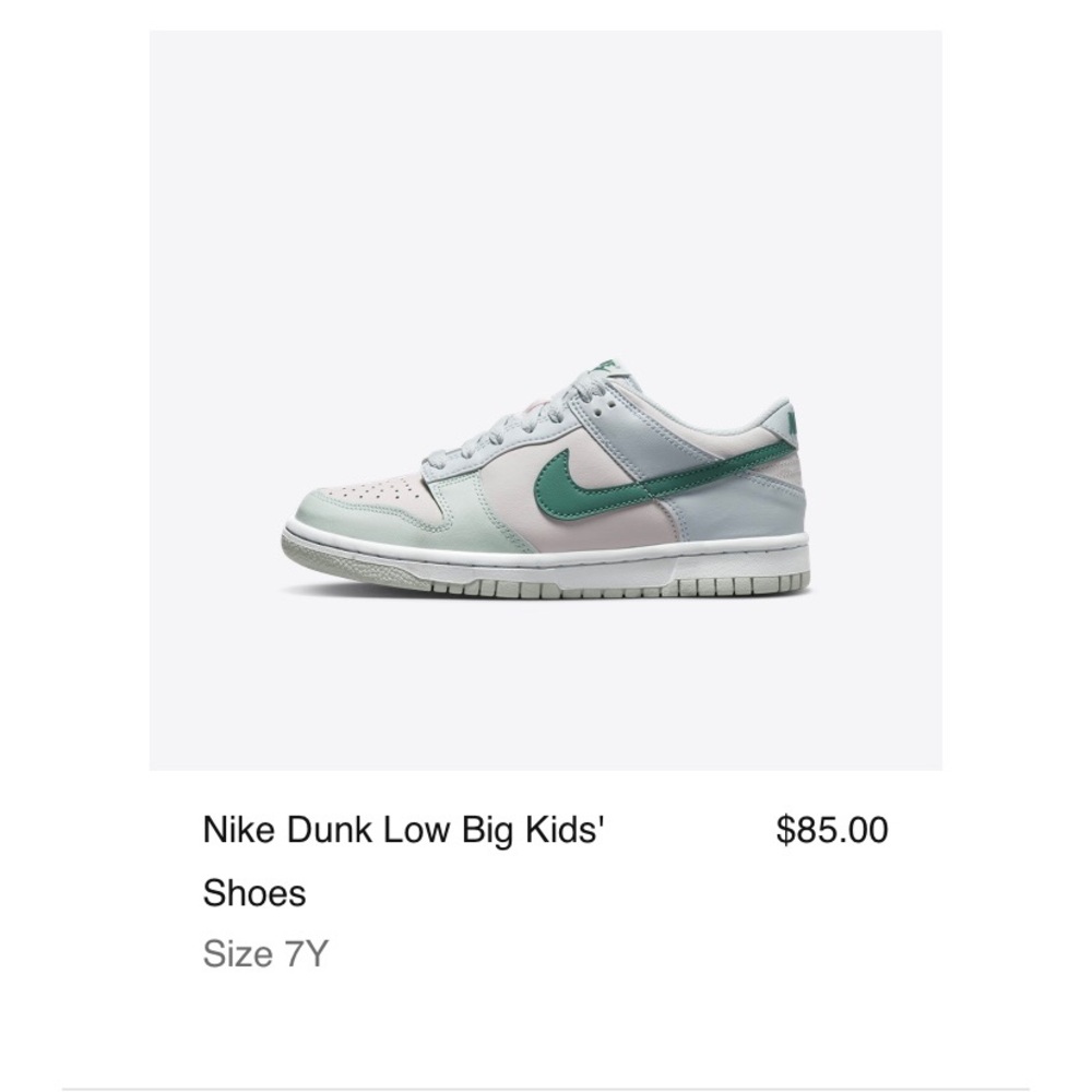 Nike dunk low (Kids 7Y / W8.5)